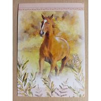 О-11. ПОДПИСАННАЯ ОТКРЫТКА. ЧЕХИЯ. БЕГУЩАЯ ЛОШАДЬ.