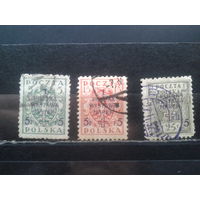 Польша, 1919. 1-я национальная выставка почтовых марок. Надпечатка