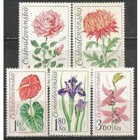Чехословакия. Садовые цветы. 1973г. Mi#2148-52.