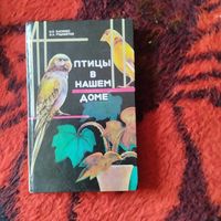 Басихес. Рудометов.  Птицы в нашем доме.