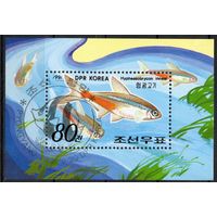 КНДР 1991. Фауна. Рыбы. 1 Блок (3240)