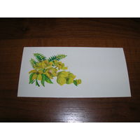 Цветы 1979 год Латвия Рига Мини Чистая