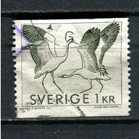 Швеция - 1968 - Серый журавль 1Kr - [Mi.600A] - 1 марка. Гашеная.  (LOT HB48)-T10P39