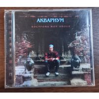 Аквариум – Кострома Mon Amour