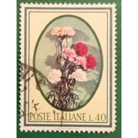 Италия 1966. Гвоздики