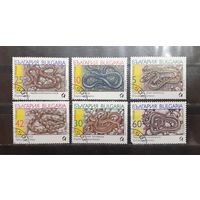 Болгария. 1989 год. Фауна. Пресмыкающиеся. Змеи (1064)