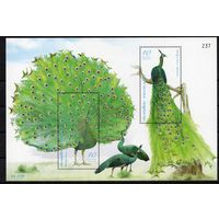 Таиланд 2008. Фауна. Птицы блок (2739)