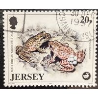 Джерси 1997. Фауна. Лягушки. Alytes muletensis