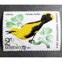 Марка СССР 1979 год Птицы