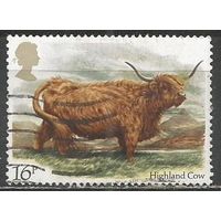 Британия. Домашний скот. Бык. 1984г. Mi#979.
