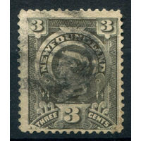 Британские колонии - Ньюфаундленд - 1890г. - королева Виктория - 1 марка - полная серия, гашёная [Mi 40]. #3-WB-68-A-1