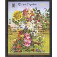 ФФ3 Украина 2012 Лето