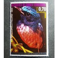 Марка Экваториальная Гвинея 1976 год Птицы