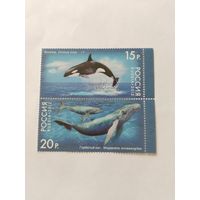 Россия  2012 2м сц.  морские животные