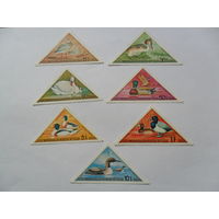 Монголия, птицы 1973г