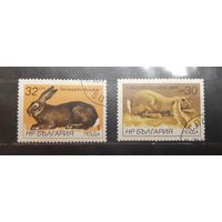 Болгария. 1986 год. Фауна. Кролики (551)