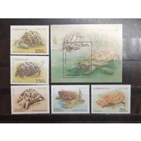 Азербайджан. 1995 год. Фауна. Рептилии. Черепахи (блок и 5 марок) (1113)