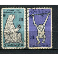 Чехословацкая Социалистическая Республика - 1962 - Фауна - 2 марки. Гашеные.  (Лот 38HU)-TG3P20