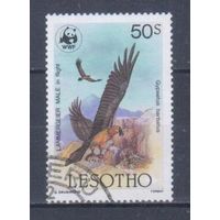 [1971] Лесото 1986. Фауна.Хищные птицы.Орел-ягнятник. Гашеная марка. Кат.гаш.2,8 е.