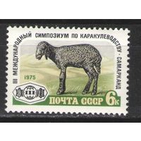 Марки СССР. 1975г. Международный симпозиум по каракулеводству.