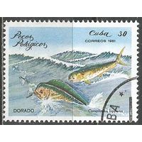 Куба. Морские рыбы. Золотая макрель. 1981г. Mi#2538.
