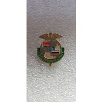 Фрачник таможенный союз