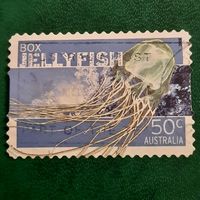 Австралия 2006. JellyFish. Медуза