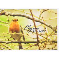 Открытка Россия. Скучаю по тебе.Фауна.Птицы.