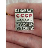 Кандидат мастер спорта,тяжёлый