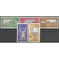 Чехословакия. Пражский зоопарк. 1962г. Mi#1336-40.