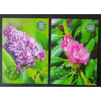 Беларусь 2016 ботанический сад.