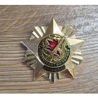 Значок партизаны