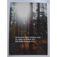 Открытка Лес. (на польском)