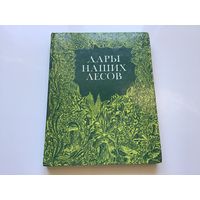 В.И. Саутин, В.И. Фомина, Э.Г. Валова и др.	"Дары наших лесов".