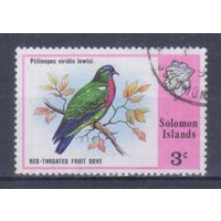 [1534] Соломоны 1975. Фауна.Птицы.Голубь. Гашеная марка.