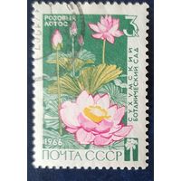 СССР 1966 Сухумский ботанический сад, цветы 1 из 3, без клея.