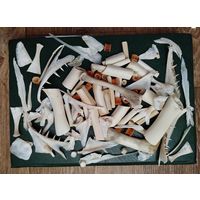 Заготовки для изделий-натуральная кость (рыб, животных, птиц).