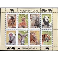 Таджикистан 2009  . Фауна . животные. Малый Лист