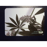 Календарик 2012 г.  Взгляд художника.