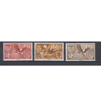 Фауна. Птицы. Испанская Сахара. 1958. 3 марки. Michel N 177-179 (2,5 е)