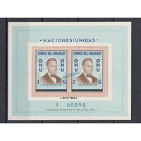 ООН. Парагвай. 1963. 1 блок (MUESTRA). Michel N бл44 (26,0 е)