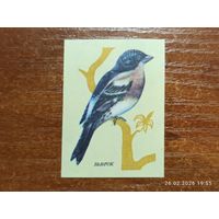 Спичечная этикетка Вьюрок