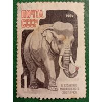 СССР 1964. Слон. К столетия Московского зоопарка