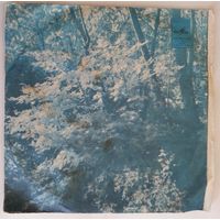 ЕР Поют Нани Брегвадзе И Вахтанг Кикабидзе (1980)