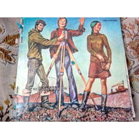 Виниловая пластинка КРУГОЗОР. 79-10.