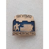 Якутия оленеводство. #-V-04