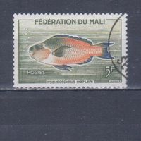 [2330] Мали 1960. Фауна.Рыба.5 ф. Гашеная марка.