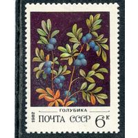 СССР 1982. Флора. Ягоды. Голубика