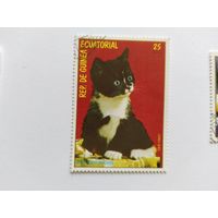 Эк.Гвинея 1972 коты