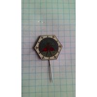 Школа закаливания *